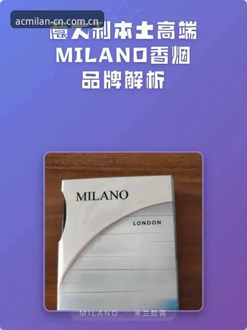 资深用户实测：米兰官网品牌首页哪个好？三组对比揭示最佳选择